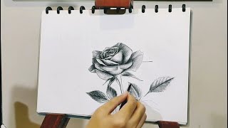 Menggambar Bunga Mawar - Sketsa Pensil