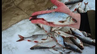 СМОТРЕТЬ ВСЕМ!!! КЛАССНАЯ РЫБАЛКА!!! Ловля плотвы.
