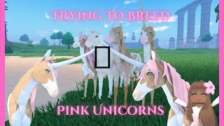 Trying to get a Pink Unicorn | Horse Life BETA!