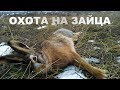 ОХОТА НА ЗАЙЦА .  ТОНКОСТИ ...  ДОБОР ПОДРАНКА.!