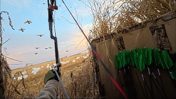 Epic Duck Hunting with a Bow and Arrow!