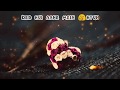 Tumko To Aana Hi Tha | WhatsApp video status | SALMAN KHAN | DAISY SHAH Whatsapp Status Video Download Free