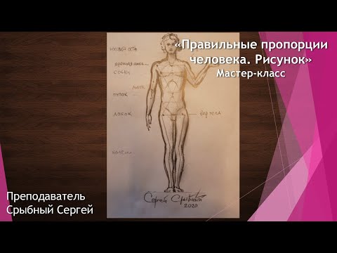 Мастер-класс "Правильные пропорции человека. Рисунок"