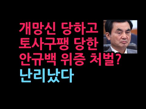 개망신 당하고 토사구팽 당한 안규백 위증 처벌? 난리났다 (2026.8.31)