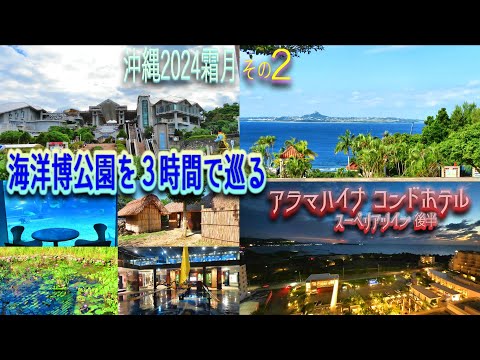 ใๆฒ็ธๆ
่กใ2ๆณ3ๆฅใใฎ๏ผ๐ๆตทๆดๅๅ
ฌๅใ๏ผๆ้ใงๅทกใ๐คฉใใขใฉใใใคใ ใณใณใ ใใใซใๆปๅจ่จๅพๅใใใใ๐