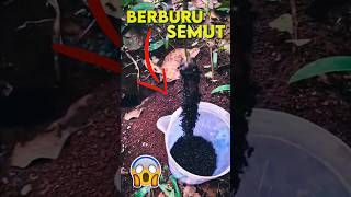 Orang Ini Berburu Semut Untuk Jangkrik