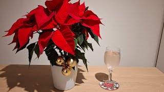 Surinaamse Gemberbier, op mijn manier