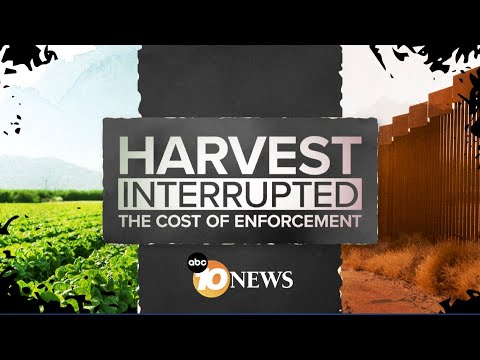 HARVEST INTERRUPTED: Farmworkers in Ventura County living in fear after ICE raids