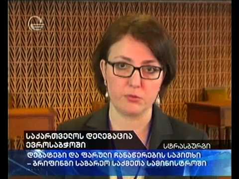 საქართველოს დელეგაცია სტარსბურგში და დებატები ფარული ჩანაწერების საკითხზე