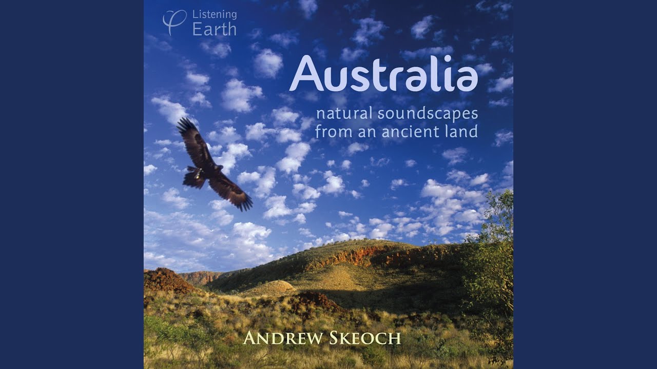 Temperate Forests of the South-east; Healesville (Forest Rainfall, with White-browed Scrubwren,...