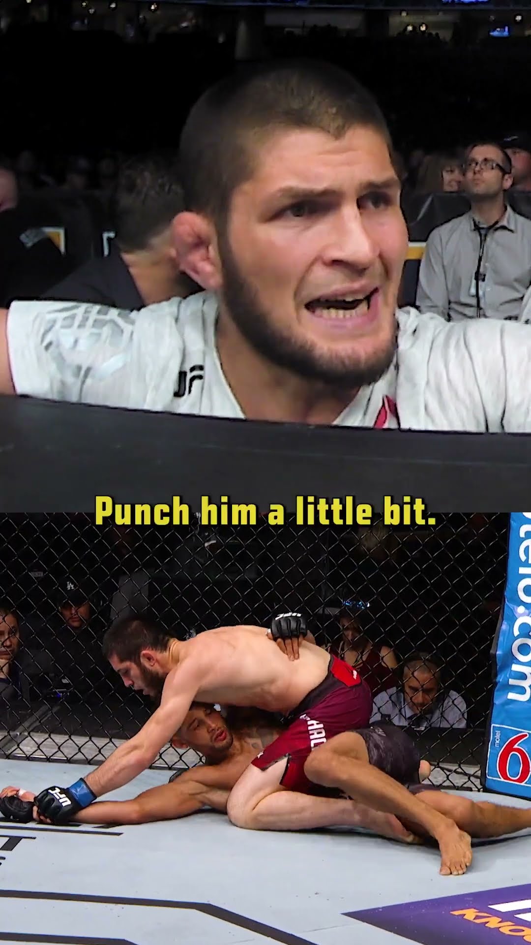 Break it! Break it! ? #ufc311