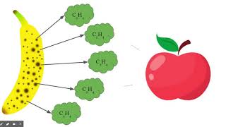 Science Ambassadors Scholarship-Cell Signaling