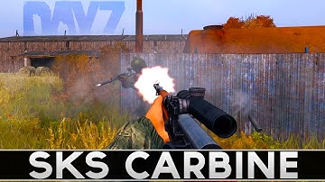 The SKS - My BEST Gun - DayZ Standalone