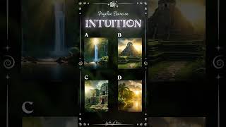 Which Image Have I Chosen? Intuition #4