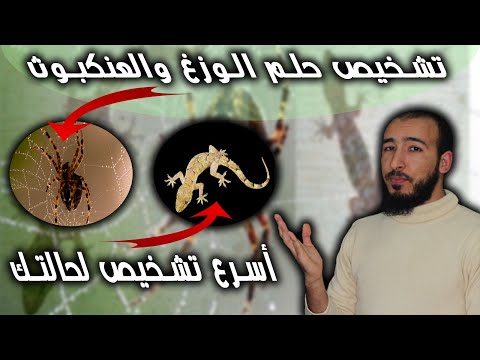 إكتشف تشخيص حالتك بحلم واحد فقط الوزغ والعنكبوث في المنام يدل على إصابة تتعلق بالبيت وبجسمك