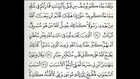 تلاوات مختارة سورة غافر كاملة القارئ عامر المهلهل