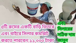 নতুন দেয়ালে সিলার করার নিয়ম/ সিলার এর দাম ২০০৪ সালের/ বাড়িতে সিলার করার নিয়ম/রং করার আগে কি করনীয়