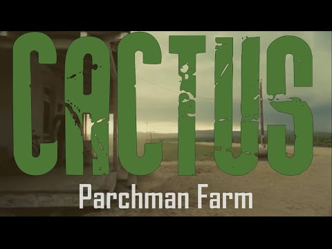 Cactus - Parchman