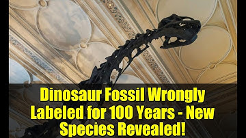 Dinosaur Fossil Wrongly Labeled for 100 Years - New Species Revealed!