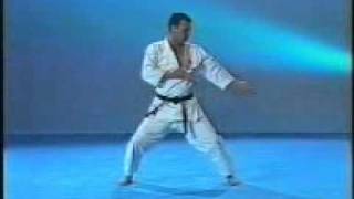 空手（型） 五十四歩 小　（格闘技） Karate Kata Gojyushiho-syou