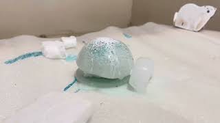 Make igloo craft with coconut shell .