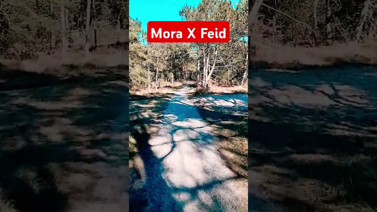 Assista a Mora X Feid Collab YES PLEASE 🔥🤯 #feid #mora @Feid no YouTube Assista a Mora X Feid Collab YES PLEASE 🔥🤯 #feid #mora @Feid no YouTube