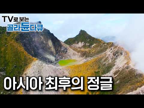 미지의 세계, 아직도 밝혀지지 않은 정글 속 거친 야생의 땅|세계 3대 열대우림이라 불리는 아시아의 열대우림|인도네시아, 캄보디아, 말레이시아의 정글|세계테마기행|#골라듄다큐