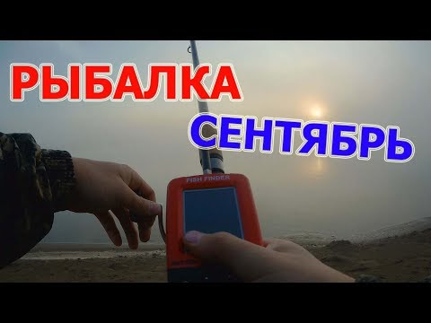 Первая осенняя рыбалка и первые груздочки