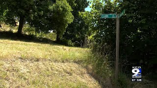 Eugene police and residents reporting increase of fireworks being set off on Skinner Butte
