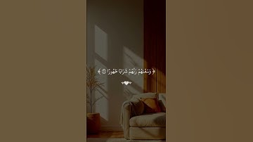 عَينًا فِيها تسَمَّى سَلْسبِيلًا  (18 الانسان)#محمد_اللحيدان #سورة_الانسان #قران_كريم #تلاوة_خاشعة