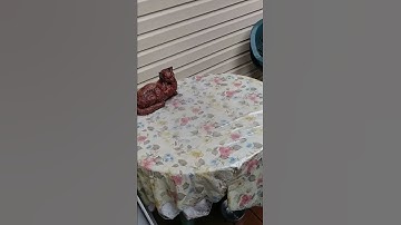 Post gutter helmet installation and repair