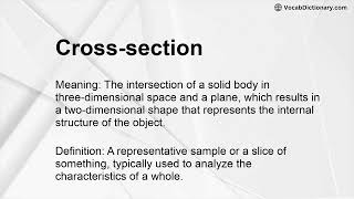 Cross-section Meaning