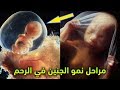 مراحل نمو الجنين داخل الرحم.. مشاهد تراها لأول مرة في حياتك !! سبحان الله