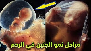 مراحل نمو الجنين داخل الرحم.. مشاهد تراها لأول مرة في حياتك !! سبحان الله