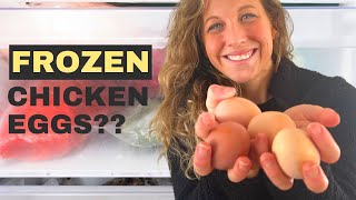 What Can you do with Frozen Chicken Eggs?