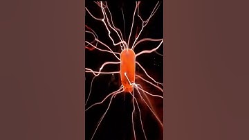 Nikola Tesla vs Thomas Edison ⚡ The War of Currents #ThomasEdison#TeslaVsEdison #Electricity