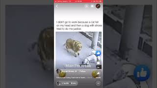 Tony Baker - Dog Detective - If You Think This is Funny, Wait Until You See His Standup #funny #dogs