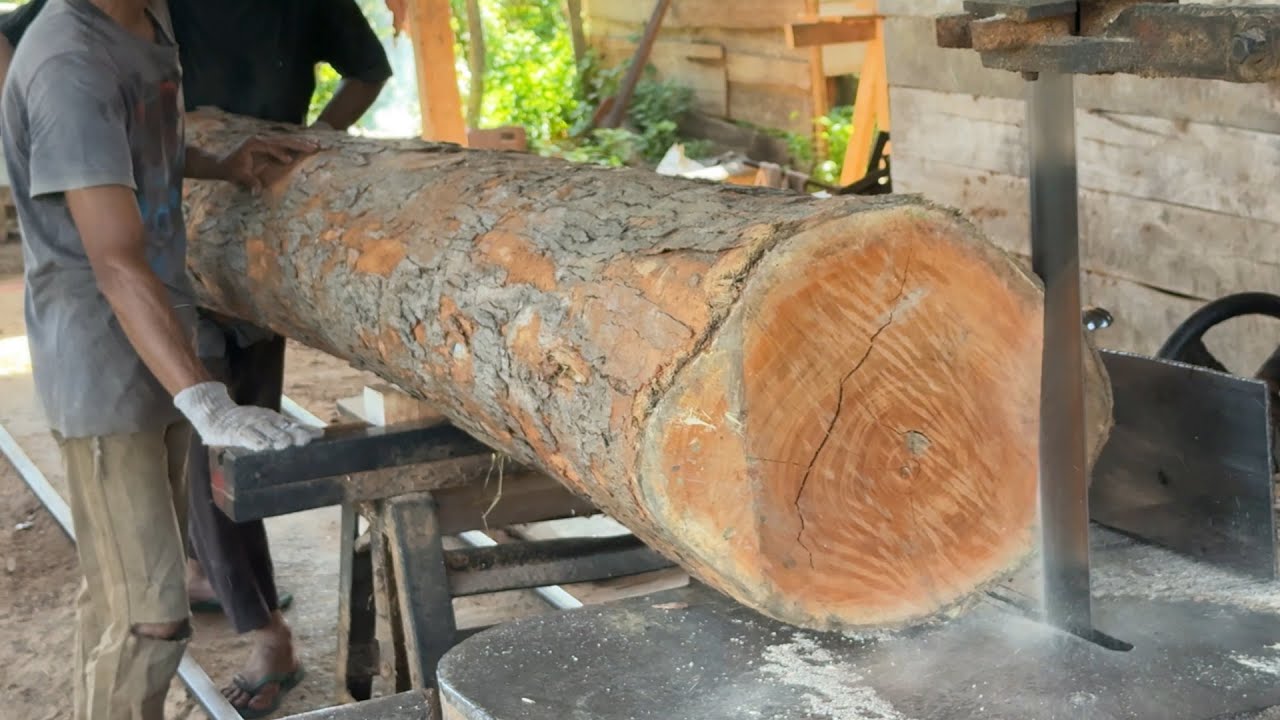 Achieving Wood Perfection Sawmill Guide from Wood to Home Material