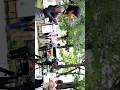 明日を描こうともがきながら ＃Shots #歌ってみた ＃カバー ＃歌詞動画 ＃明日への手紙 ＃手嶌葵 ＃一華ひかり ＃fyp