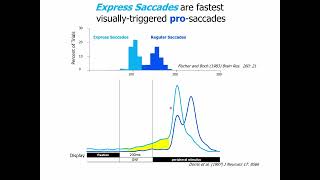 Celebrity Dr. Douglas Munoz on using eye tracking to investigate neural circuits in health and disease Profile