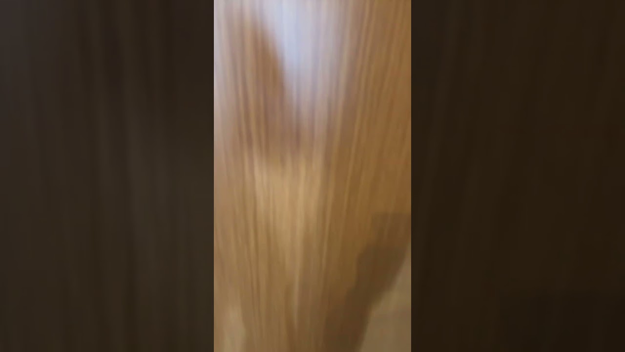 Walk on the ceiling 💀