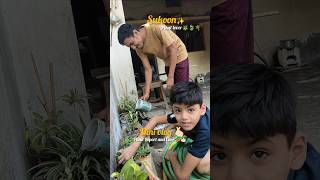 plants reporting #trend #viral #shorts #shortsfeed #ytshorts #vlog #minivlog #minecraft #youtube