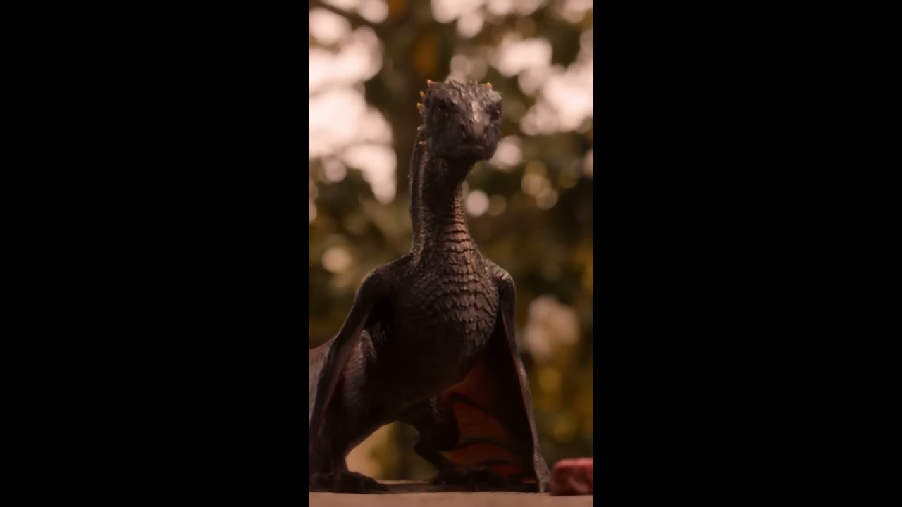 Drogon Learns Dracarys Shorts