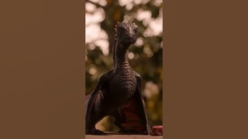Drogon Learns Dracarys #shorts