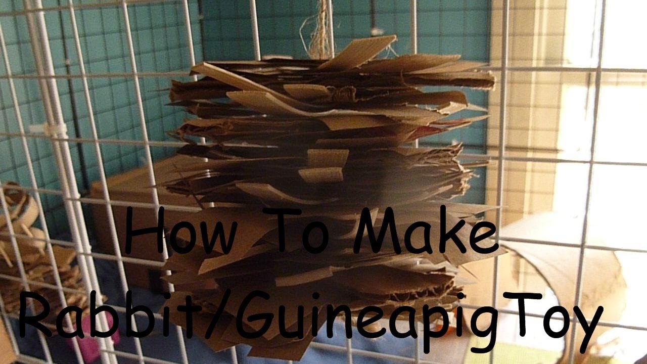 Make Rabbit Guineapig Hanging Chew Toy