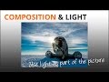 Photography Tips: Light and Composition