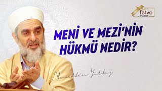 Meni Ve Mezinin Hükmü Nedir? - Nureddin Yildiz - Wwwfetvameclisicom