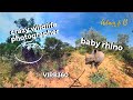 Baby rhino walks up to my camera | Garmin VIRB 360 | SafariLife