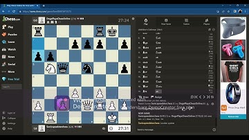 The chess experience