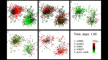 Visualization of gene expression dynamics